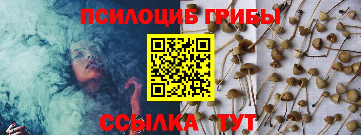 Галлюциногенные грибы мухоморы  Псилоцибиновые грибы Psilocybe  Нефтекумск  где купить наркоту  Вход с VPN 